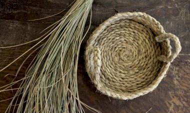 Loulé Criativo Promove Residência “Palma, Esparto e Cana”