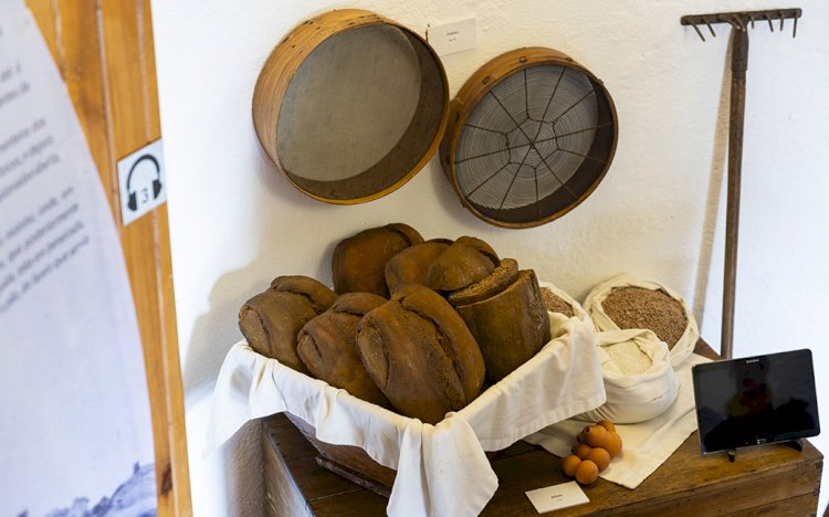 Julho no Museu da Amadora! Conheça a programação