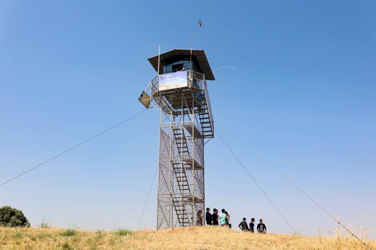 Voluntariado Jovem - Equipa de Vigilância Florestal 2025 em Montemor-o-Novo