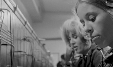 Nova temporada do Batalha Centro de Cinema cruza linhas telefónicas e David Bowie