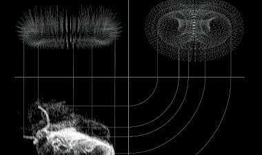 Arte em Quarteira com “TZIMTZUM: O Jogo da Vontade”
