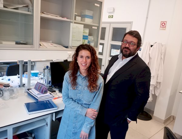 Cientistas da Universidade de Coimbra identificam mecanismo molecular associado a doença neurodegenerativa rara
