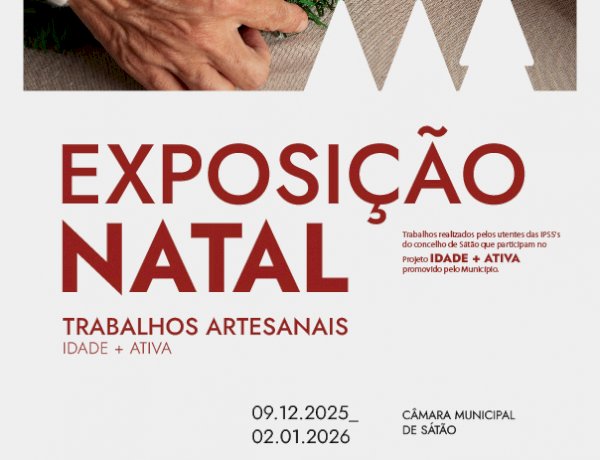 Projecto Idade + Activa apresenta exposição de Natal na Câmara Municipal de Sátão