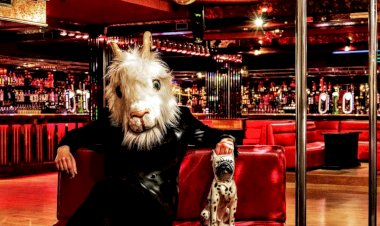 Palmilha Dentada apresentam ciclo de café-teatro no Bar do Teatro Nacional São João