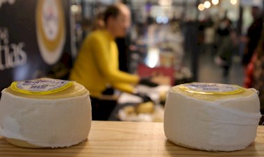 Seia celebra o Carnaval com a 49.ª edição da Feira do Queijo