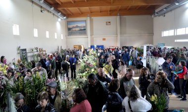 Cantanhede acolhe 7.ª Exposição de Orquídeas no próximo fim de semana